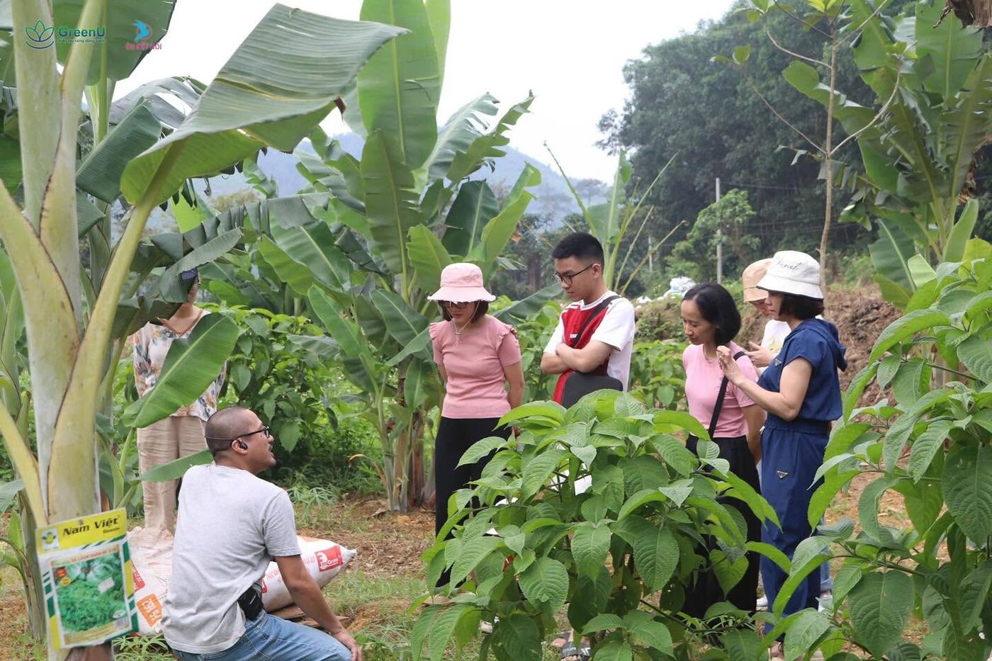 Tham quan khu vườn canh tác tại Làng Xanh