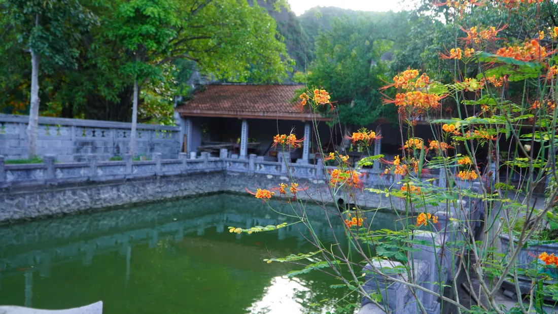 Hoạt động thực địa tại Làng Xanh Farm